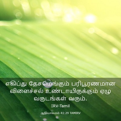 Picture 03 - ஆதியாகமம் 41:29 TAMIRV - எகிப்து - Bible Verse Picture