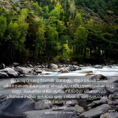 Picture 03 - ஆதியாகமம் 41:34 TAMIRV - இப்படிப் பார்வோன் - Bible Verse Picture