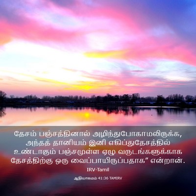 Picture 03 - ஆதியாகமம் 41:36 TAMIRV - தேசம் - Bible Verse Picture