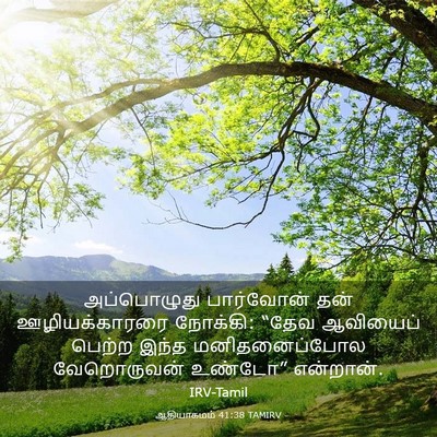 Picture 03 - ஆதியாகமம் 41:38 TAMIRV - அப்பொழுது - Bible Verse Picture