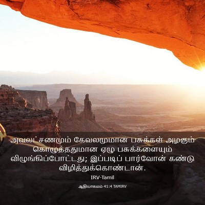 Picture 03 - ஆதியாகமம் 41:4 TAMIRV - அவலட்சணமும் - Bible Verse Picture