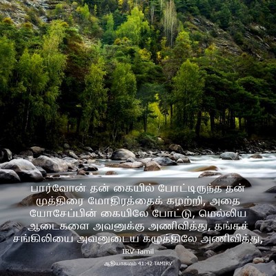 Picture 03 - ஆதியாகமம் 41:42 TAMIRV - பார்வோன் தன் - Bible Verse Picture