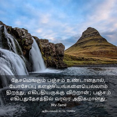 Picture 03 - ஆதியாகமம் 41:56 TAMIRV - தேசமெங்கும் - Bible Verse Picture