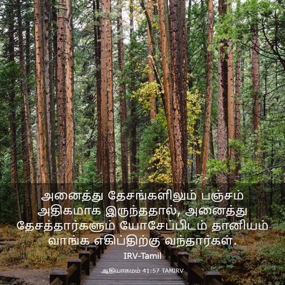Picture 03 - ஆதியாகமம் 41:57 TAMIRV - அனைத்து - Bible Verse Picture
