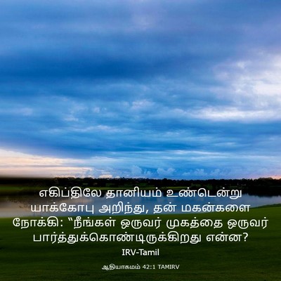Picture 03 - ஆதியாகமம் 42:1 TAMIRV - எகிப்திலே தானியம் - Bible Verse Picture