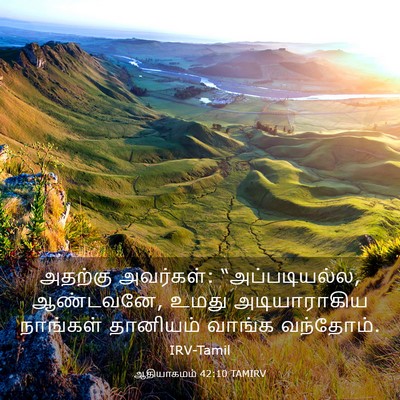 Picture 03 - ஆதியாகமம் 42:10 TAMIRV - அதற்கு அவர்கள்: - Bible Verse Picture