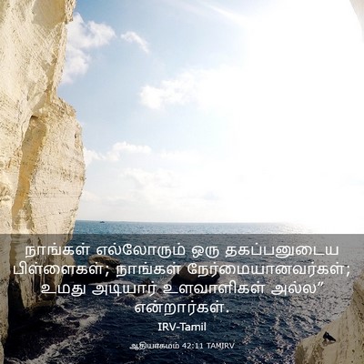 Picture 03 - ஆதியாகமம் 42:11 TAMIRV - நாங்கள் எல்லோரும் - Bible Verse Picture