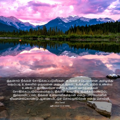 Picture 03 - ஆதியாகமம் 42:16 TAMIRV - இதனால் நீங்கள் - Bible Verse Picture