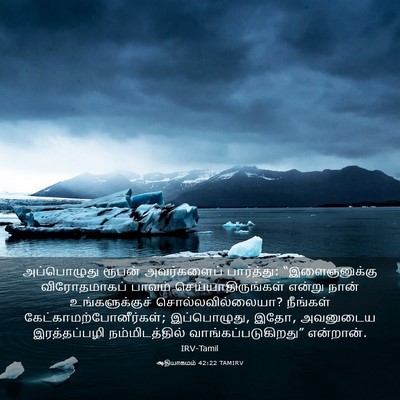 Picture 03 - ஆதியாகமம் 42:22 TAMIRV - அப்பொழுது ரூபன் - Bible Verse Picture