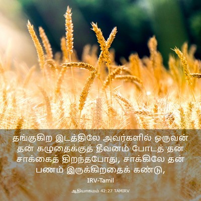 Picture 03 - ஆதியாகமம் 42:27 TAMIRV - தங்குகிற இடத்திலே - Bible Verse Picture