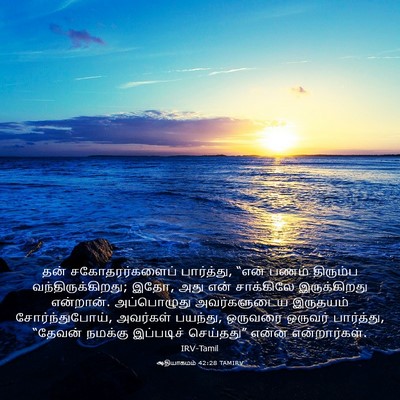 Picture 03 - ஆதியாகமம் 42:28 TAMIRV - தன் சகோதரர்களைப் - Bible Verse Picture