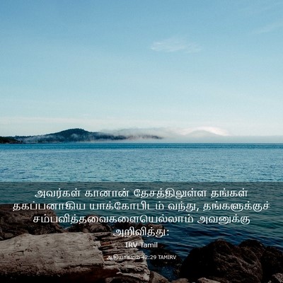 Picture 03 - ஆதியாகமம் 42:29 TAMIRV - அவர்கள் கானான் - Bible Verse Picture