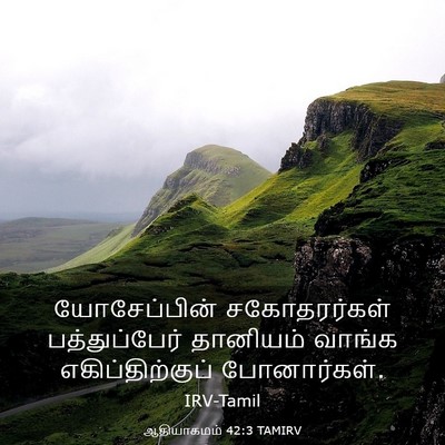 Picture 03 - ஆதியாகமம் 42:3 TAMIRV - யோசேப்பின் - Bible Verse Picture