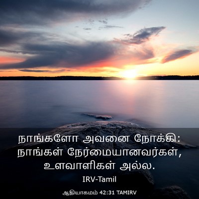 Picture 03 - ஆதியாகமம் 42:31 TAMIRV - நாங்களோ அவனை - Bible Verse Picture