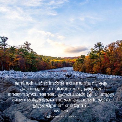 Picture 03 - ஆதியாகமம் 42:32 TAMIRV - நாங்கள் - Bible Verse Picture