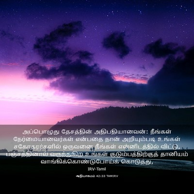 Picture 03 - ஆதியாகமம் 42:33 TAMIRV - அப்பொழுது - Bible Verse Picture
