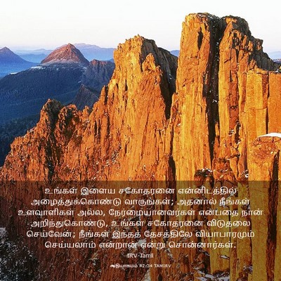 Picture 03 - ஆதியாகமம் 42:34 TAMIRV - உங்கள் இளைய - Bible Verse Picture