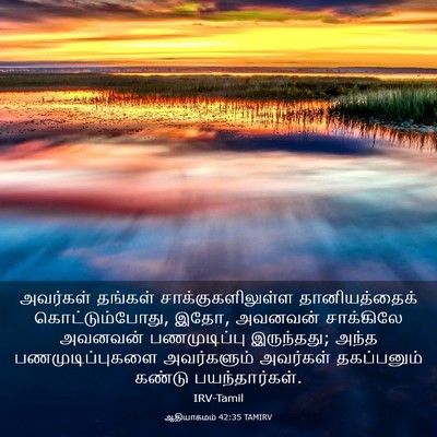 Picture 03 - ஆதியாகமம் 42:35 TAMIRV - அவர்கள் தங்கள் - Bible Verse Picture