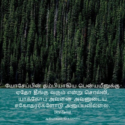 Picture 03 - ஆதியாகமம் 42:4 TAMIRV - யோசேப்பின் - Bible Verse Picture