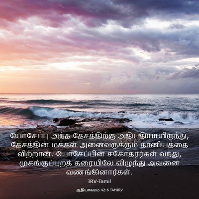 Picture 03 - ஆதியாகமம் 42:6 TAMIRV - யோசேப்பு அந்த - Bible Verse Picture