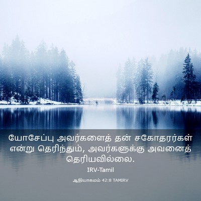 Picture 03 - ஆதியாகமம் 42:8 TAMIRV - யோசேப்பு - Bible Verse Picture