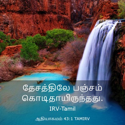 Picture 03 - ஆதியாகமம் 43:1 TAMIRV - தேசத்திலே பஞ்சம் - Bible Verse Picture
