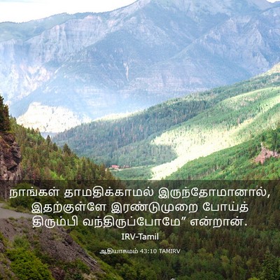 Picture 03 - ஆதியாகமம் 43:10 TAMIRV - நாங்கள் - Bible Verse Picture