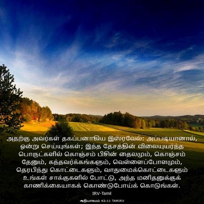 Picture 03 - ஆதியாகமம் 43:11 TAMIRV - அதற்கு அவர்கள் - Bible Verse Picture