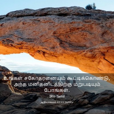 Picture 03 - ஆதியாகமம் 43:13 TAMIRV - உங்கள் - Bible Verse Picture