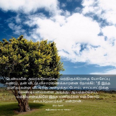 Picture 03 - ஆதியாகமம் 43:16 TAMIRV - பென்யமீன் - Bible Verse Picture