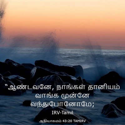 Picture 03 - ஆதியாகமம் 43:20 TAMIRV - “ஆண்டவனே, நாங்கள் - Bible Verse Picture