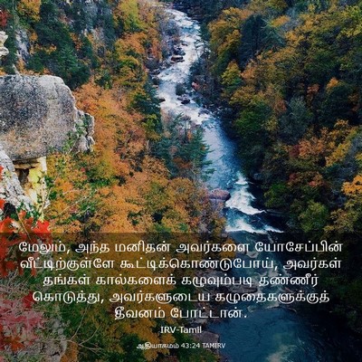 Picture 03 - ஆதியாகமம் 43:24 TAMIRV - மேலும், அந்த - Bible Verse Picture