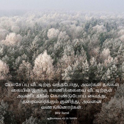 Picture 03 - ஆதியாகமம் 43:26 TAMIRV - யோசேப்பு - Bible Verse Picture