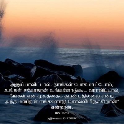 Picture 03 - ஆதியாகமம் 43:5 TAMIRV - அனுப்பாவிட்டால். - Bible Verse Picture