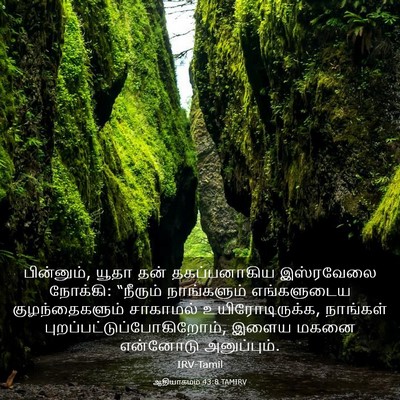 Picture 03 - ஆதியாகமம் 43:8 TAMIRV - பின்னும், யூதா தன் - Bible Verse Picture