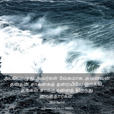 Picture 03 - ஆதியாகமம் 44:11 TAMIRV - அப்பொழுது அவர்கள் - Bible Verse Picture