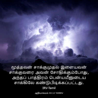 Picture 03 - ஆதியாகமம் 44:12 TAMIRV - மூத்தவன் - Bible Verse Picture