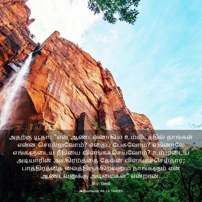 Picture 03 - ஆதியாகமம் 44:16 TAMIRV - அதற்கு யூதா: “என் - Bible Verse Picture