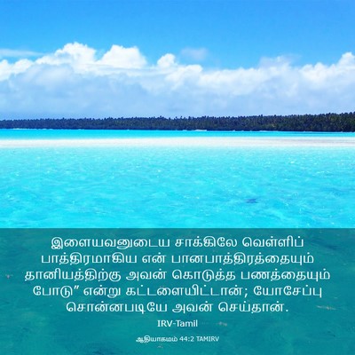Picture 03 - ஆதியாகமம் 44:2 TAMIRV - இளையவனுடைய - Bible Verse Picture
