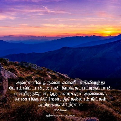 Picture 03 - ஆதியாகமம் 44:28 TAMIRV - அவர்களில் ஒருவன் - Bible Verse Picture