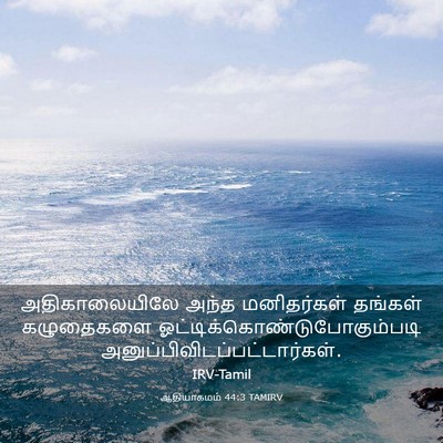 Picture 03 - ஆதியாகமம் 44:3 TAMIRV - அதிகாலையிலே அந்த - Bible Verse Picture