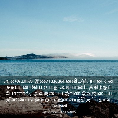 Picture 03 - ஆதியாகமம் 44:30 TAMIRV - ஆகையால் - Bible Verse Picture