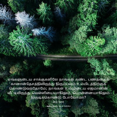 Picture 03 - ஆதியாகமம் 44:8 TAMIRV - எங்களுடைய - Bible Verse Picture