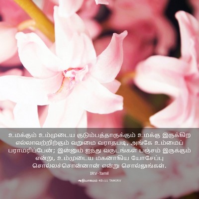 Picture 03 - ஆதியாகமம் 45:11 TAMIRV - உமக்கும் உம்முடைய - Bible Verse Picture
