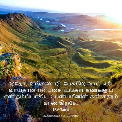 Picture 03 - ஆதியாகமம் 45:12 TAMIRV - இதோ, உங்களோடு - Bible Verse Picture