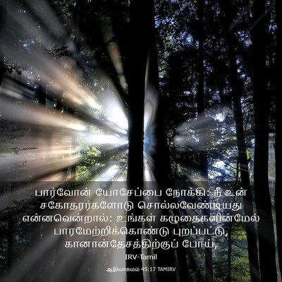 Picture 03 - ஆதியாகமம் 45:17 TAMIRV - பார்வோன் யோசேப்பை - Bible Verse Picture