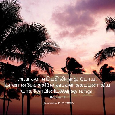 Picture 03 - ஆதியாகமம் 45:25 TAMIRV - அவர்கள் - Bible Verse Picture