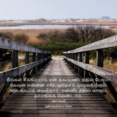 Picture 03 - ஆதியாகமம் 45:9 TAMIRV - நீங்கள் - Bible Verse Picture