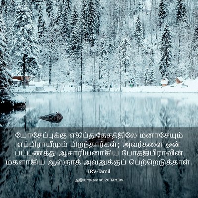 Picture 03 - ஆதியாகமம் 46:20 TAMIRV - யோசேப்புக்கு - Bible Verse Picture