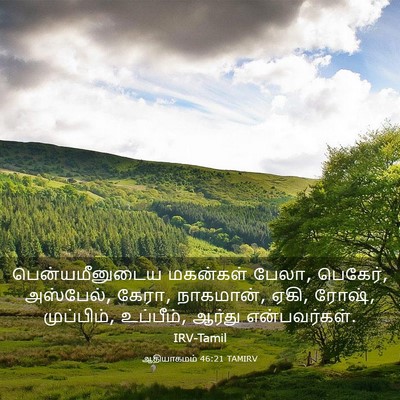 Picture 03 - ஆதியாகமம் 46:21 TAMIRV - பென்யமீனுடைய - Bible Verse Picture